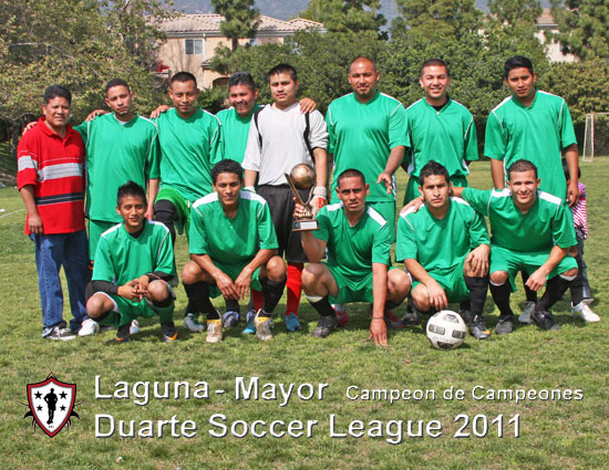 Laguna Div Mayor 2011 Torneo de Copa Champions and League Champion of Champions